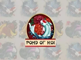 Pond Of Koi