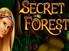 Secret Forest