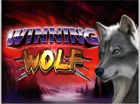 Winning Wolf